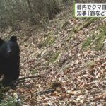 【驚愕！】東京都にもツキノワグマ！！127件も､､､注意して