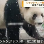 【映像あり】デカくなった「シャンシャン」中国返還のパンダが公開へ、
