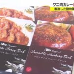 えっ？食べれる？人気の”ワニ肉カレー”が返礼品から除外で、