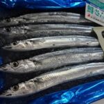 【驚愕】ヤバ！初サンマ1匹“2万5000円”「大間のマグロ」超え･･･