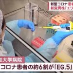 次は「エリス」が拡大中！新型コロナ患者急増“第9波”か