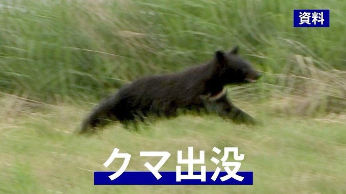 出没しているクマが、、、市街地で女性４人が襲われてケガ