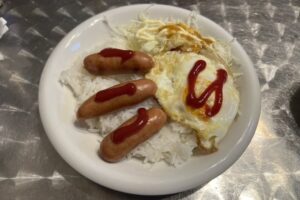「私の貧乏飯」告白・・・・・・・・・・ソーセージ丼、ツナごはん、カップ麺ねこまんま等、