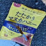 女性の原付バイクが熊と衝突して、ハチミツ飴食われる！！はちみつくまさん。