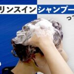 今日は【頭髪の日】”リンスインシャンプー”　中途半端じゃないの？？メーカーは、