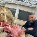 ライオン、トラ、サメ、ワニと暮らす総合格闘家が...「一番怖いのは妻です」