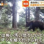 バカなの？「何言ってんだ！？」人間より「熊がかわいそう」抗議電話30件の女性は、