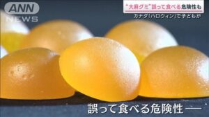 【警鐘！！】子ども誤飲に注意、大麻グミ