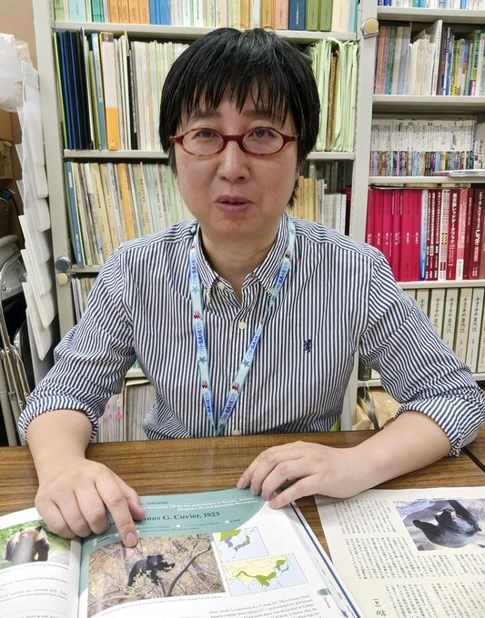 「クマなし県」千葉なぜ！？「千葉にいる限りはリスクは極めて低い」