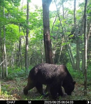 バカクレーマーに告ぐ！！「クマと人間の共存は100%無理」ハンターが怒りの、