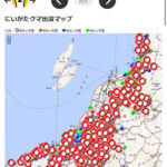 クマ多すぎて･･･、新潟のクマ出没マップが大変なことになって、