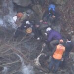 【悲報】クマの体内からDNA鑑定で、、、22歳男子大学生はヒグマに食べられていた…