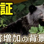 「「「クマ被害増加の背景にメガソーラー？」」」