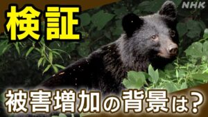 「「「クマ被害増加の背景にメガソーラー?」」」