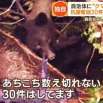 抗議電話しまくり女性が･･････････「クマは悪者じゃない、人が悪い！」