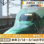 エグすぎる！JR東日本が1日1万円乗り放題が、