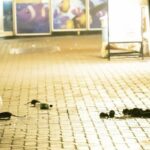 「猫くらいデカいやつも…」歌舞伎町で、