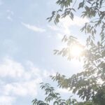 大人の「ケイドロ」！男女ペアでハラハラ、ドキドキを、