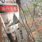 東京の「危険な山」で死者が次々･･････････謎の、