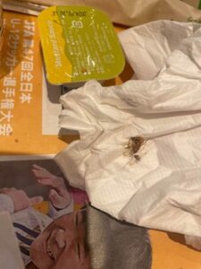 またか! マックのグラコロにゴキブリ混入・・・「1/4ぐらい食べた時に…まだ生きていた」