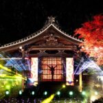 Ado、京都の能舞台から“シルエット歌唱”が、